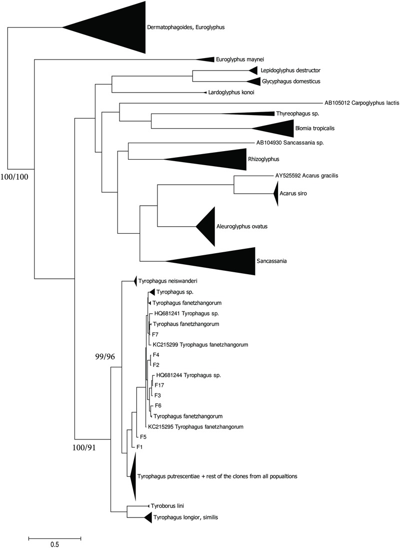 FIGURE 2