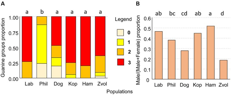 FIGURE 10