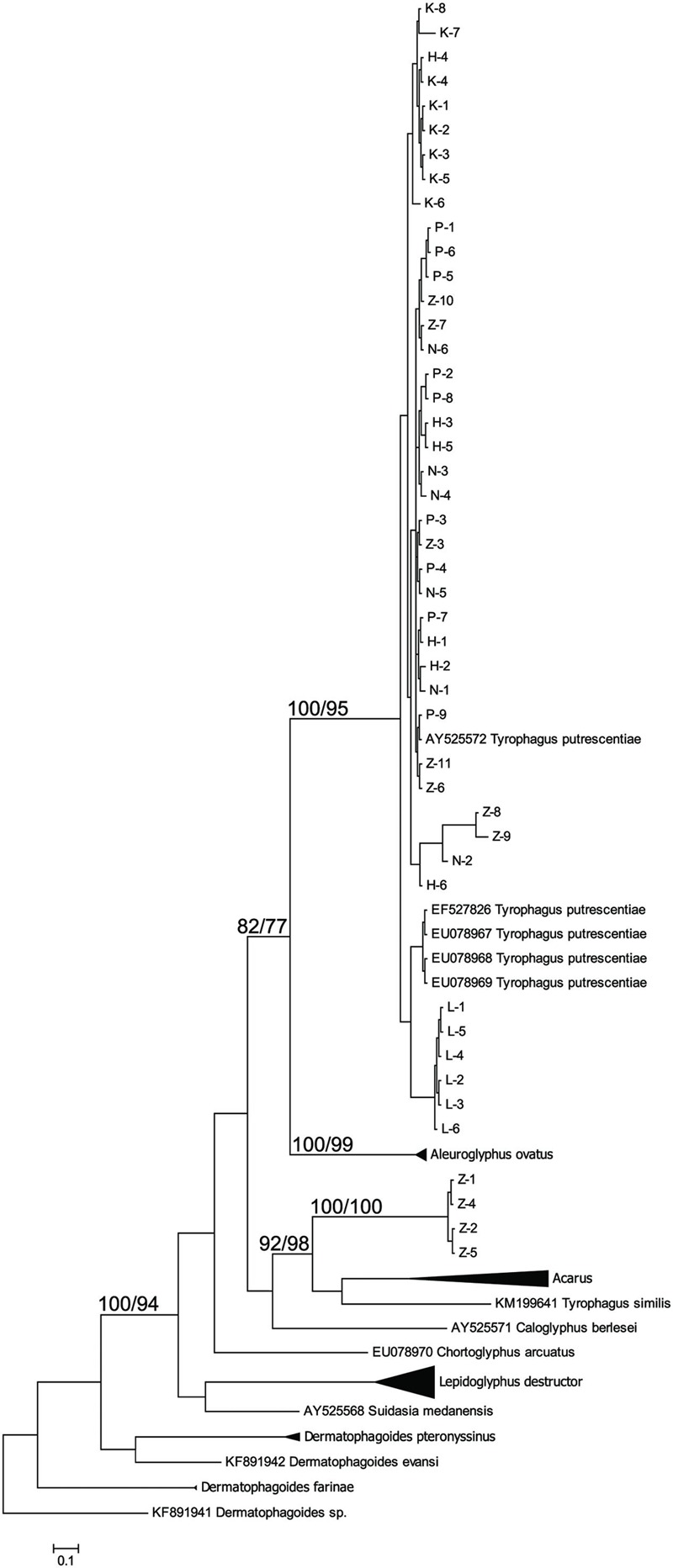 FIGURE 1