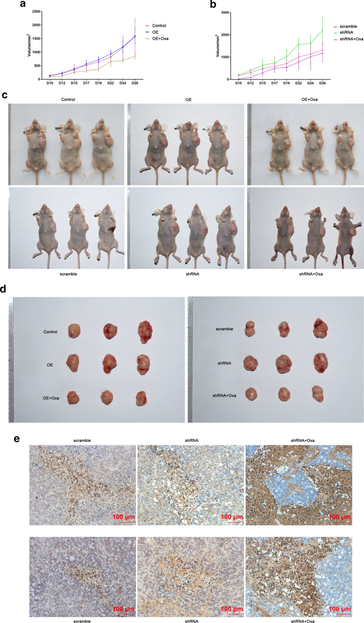 Fig. 6