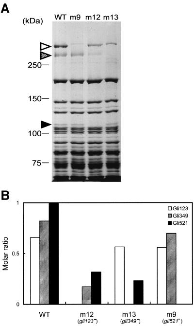 FIG. 5.