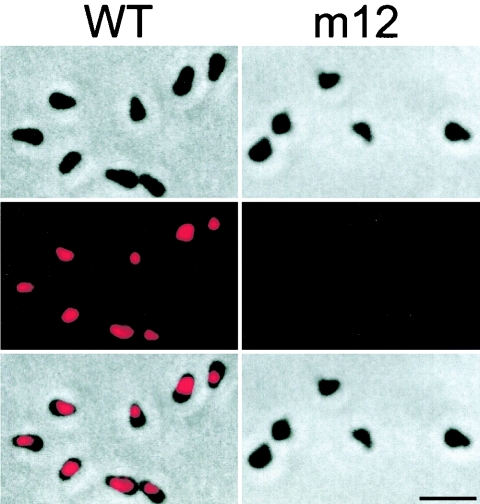 FIG. 6.