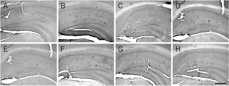 Fig 6.