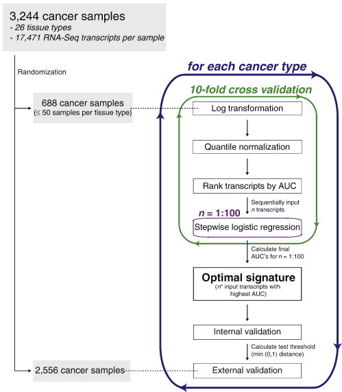 Figure 1