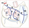 Figure 4: