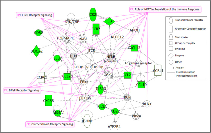 FIGURE 4