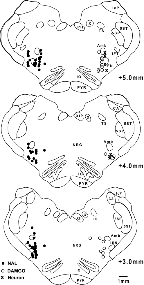 Fig. 8.