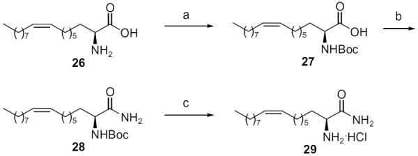 Scheme 4