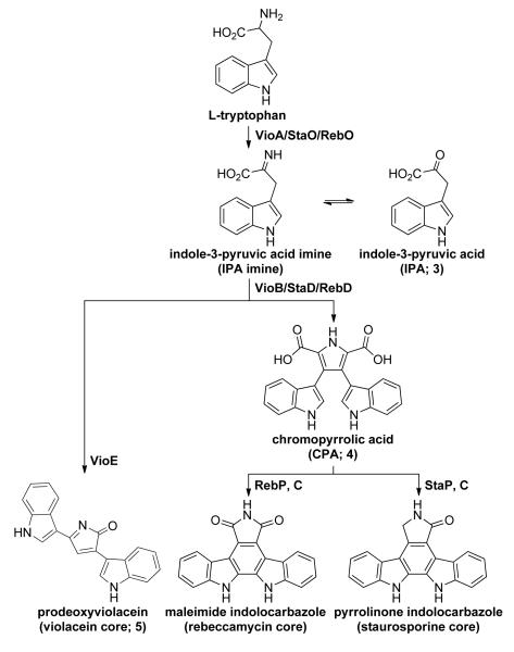 Scheme 2