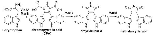 Scheme 3