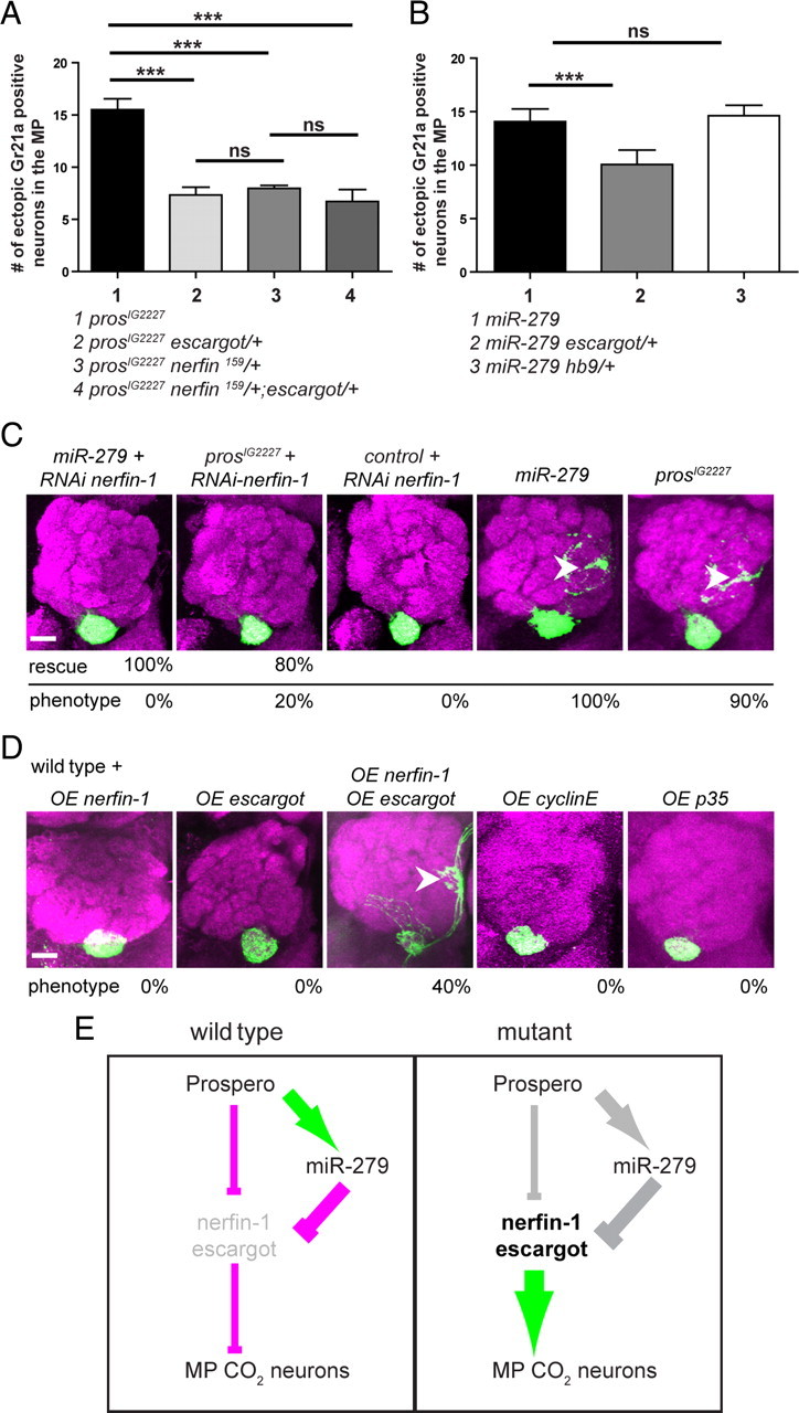 Figure 10.