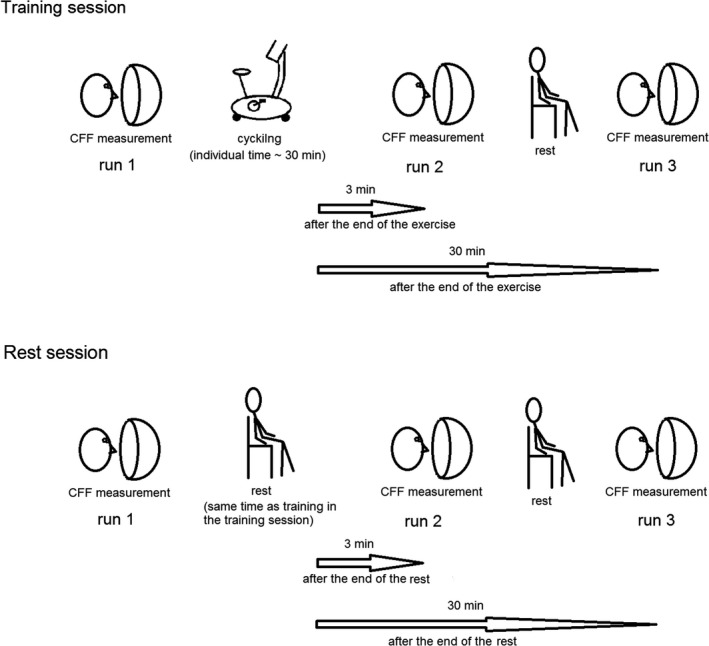 FIGURE 1