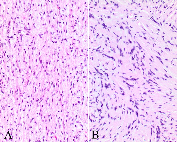 Fig. 6