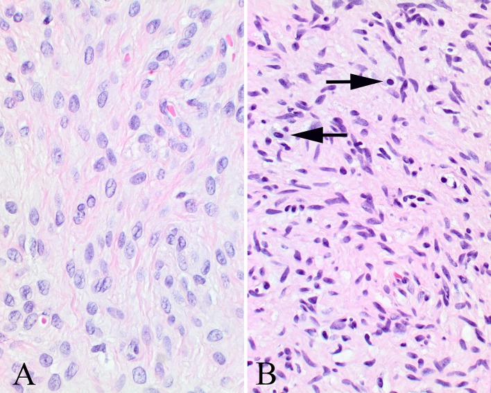 Fig. 4