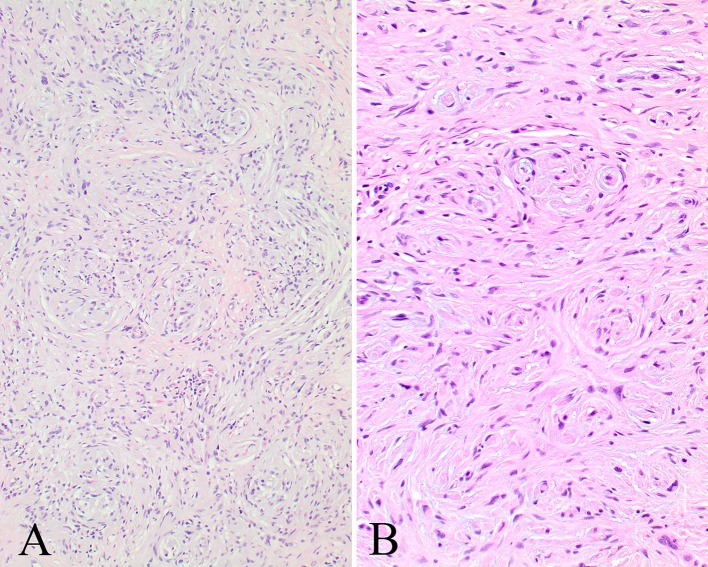 Fig. 3