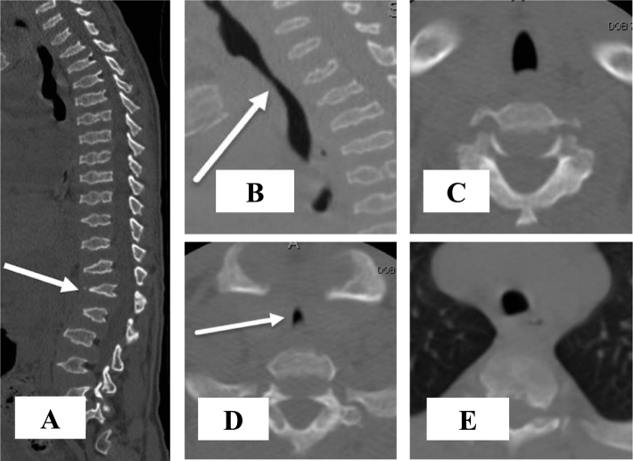 Fig. 5