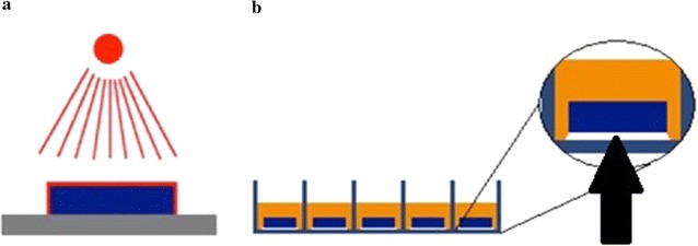 Fig. 2