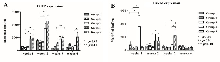 Fig 10