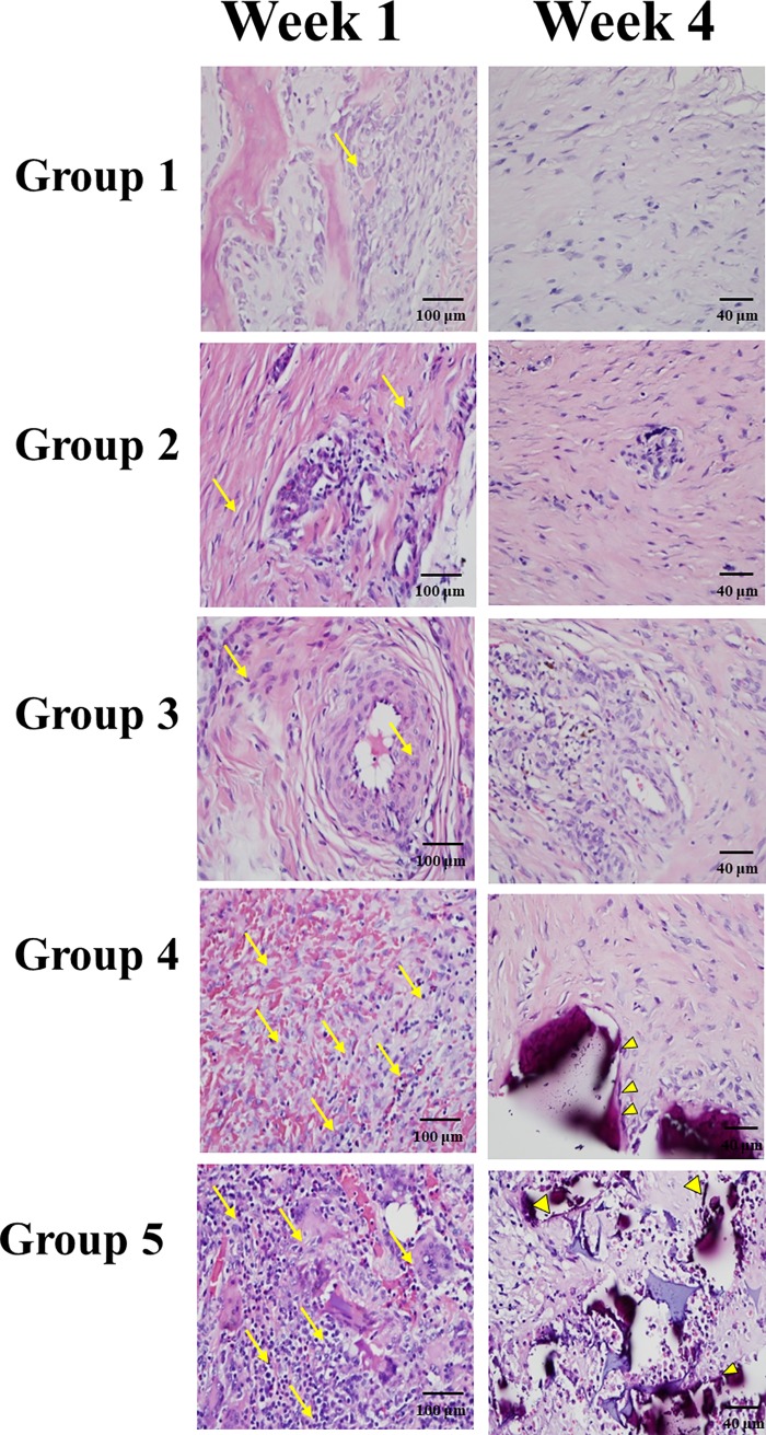 Fig 11