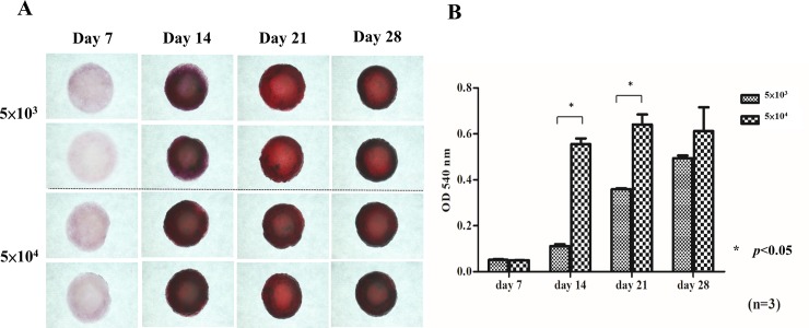 Fig 8