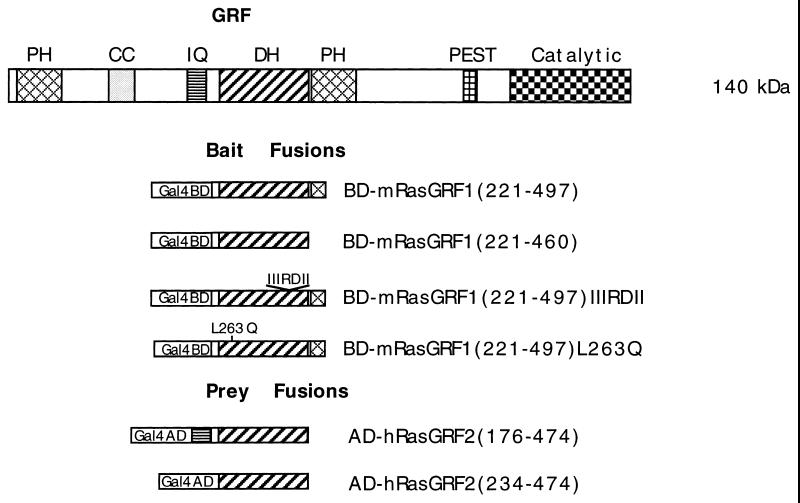 FIG. 1