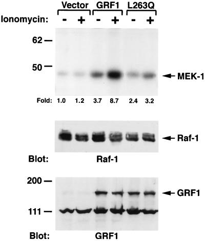 FIG. 8