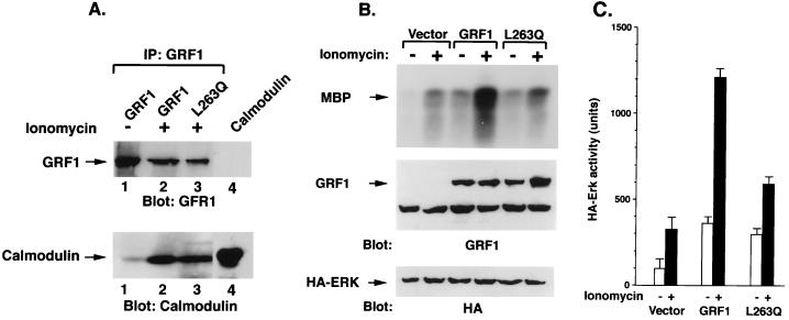 FIG. 6