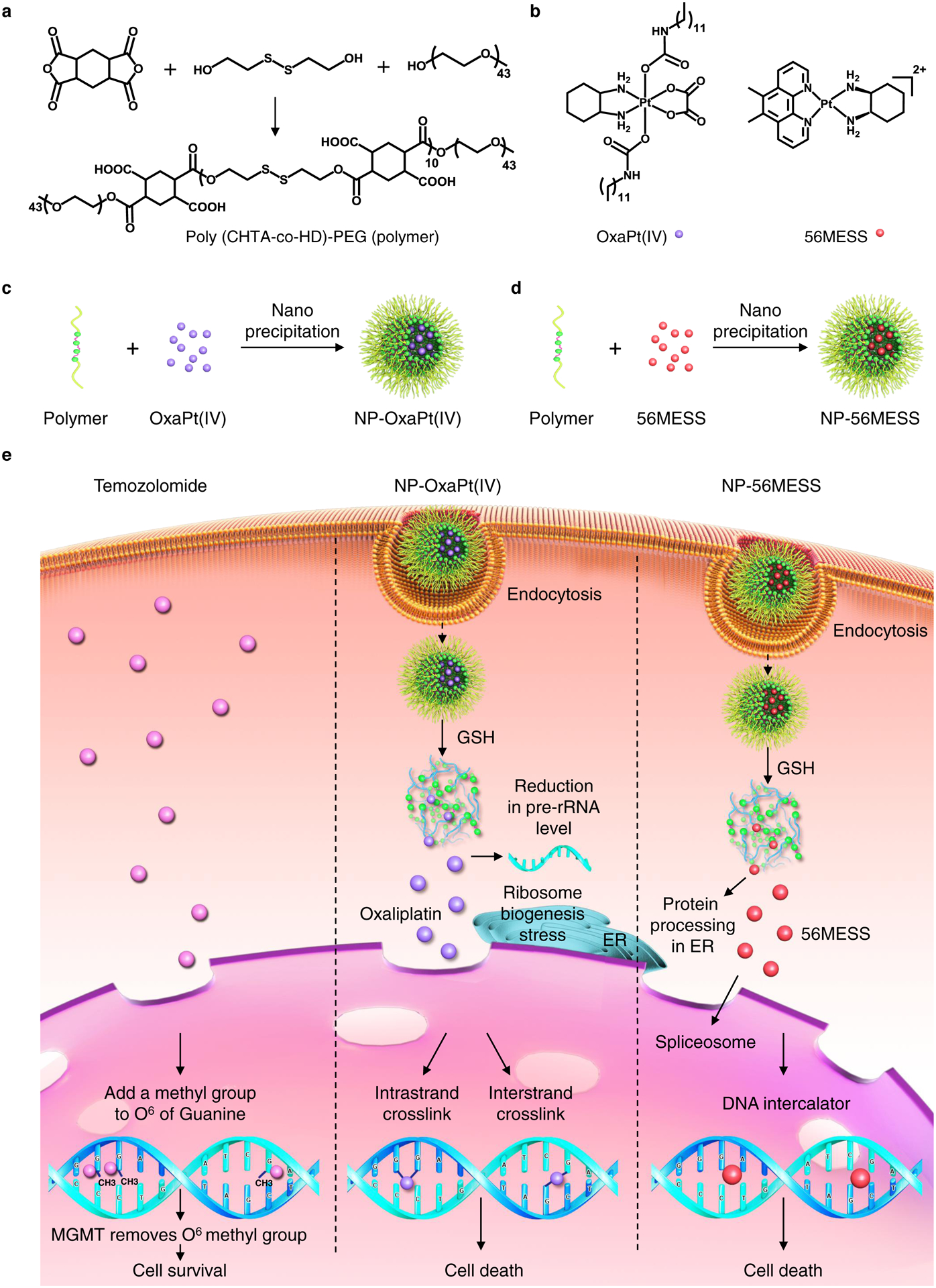 Figure 1 |