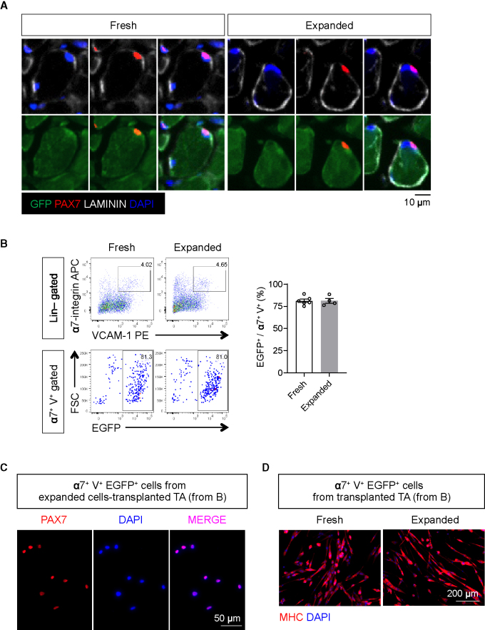 Figure 4