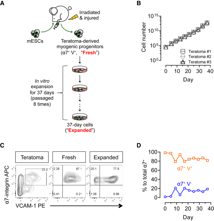 Figure 1