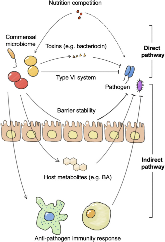 FIGURE 3