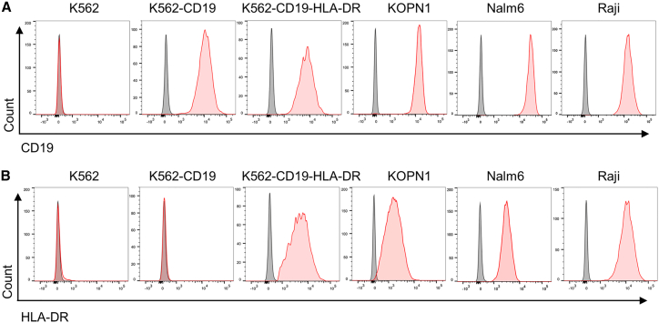 Figure 3