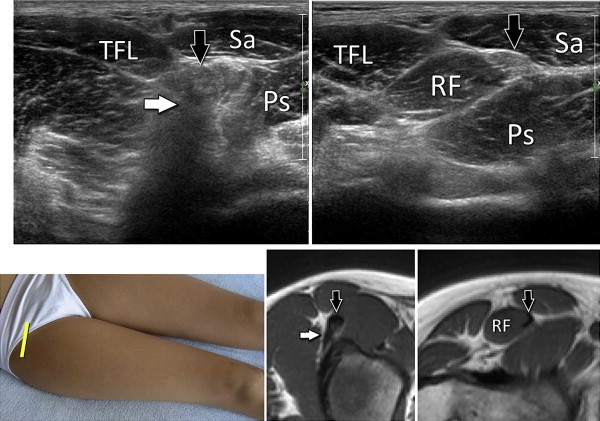 Fig. 4