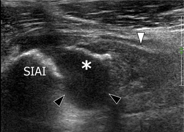 Fig. 7