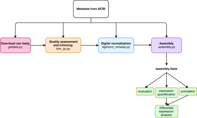 Figure 1: