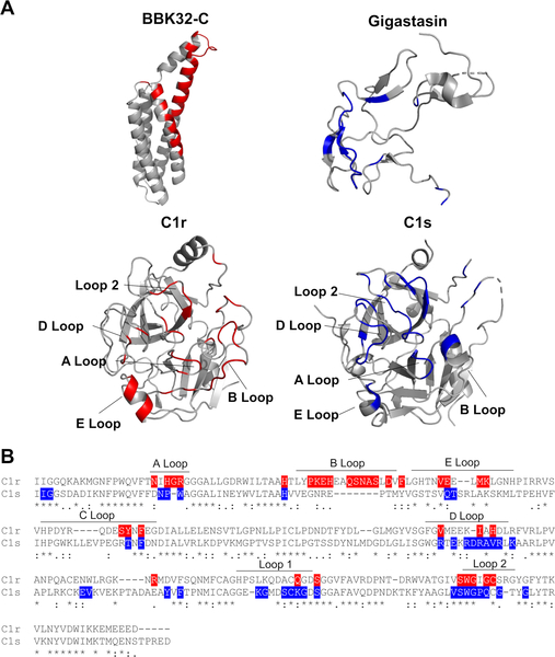 Figure 5.