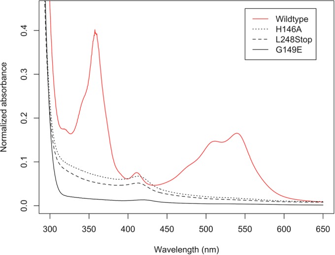 FIG 1