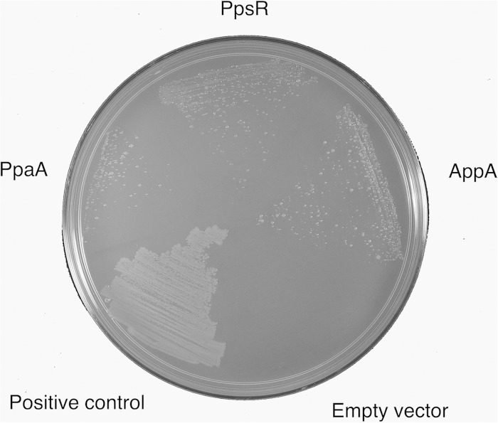 FIG 5