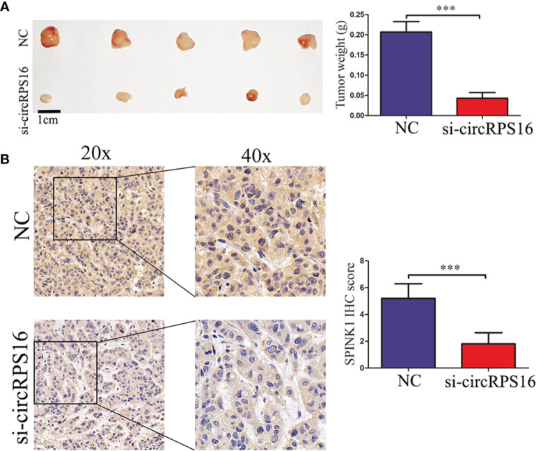 Figure 6