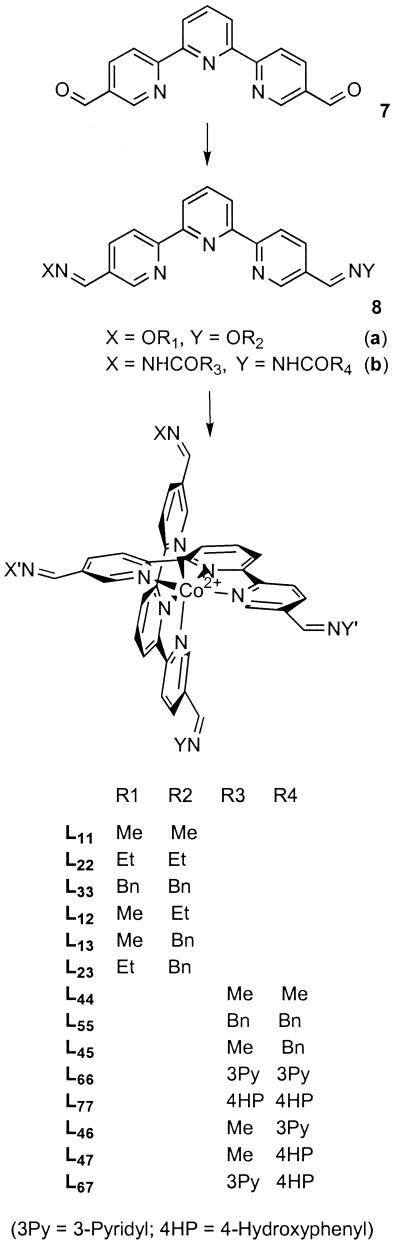 Scheme 2