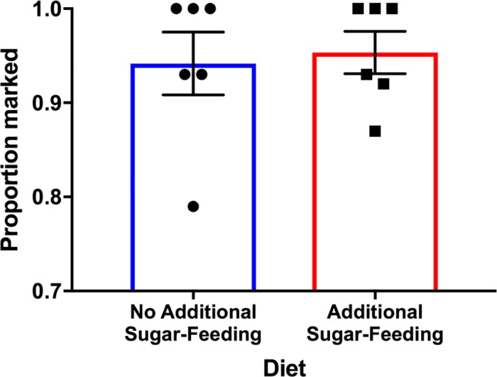 Fig 5