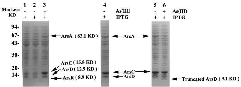 FIG. 7