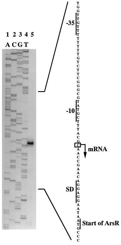 FIG. 6