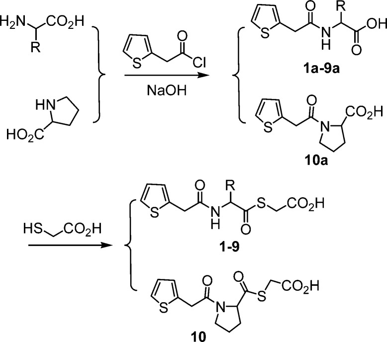 Scheme 1