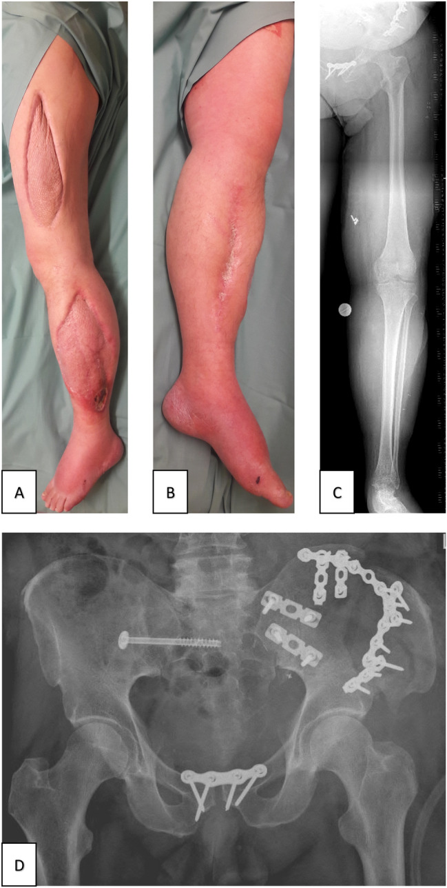 Fig. 8