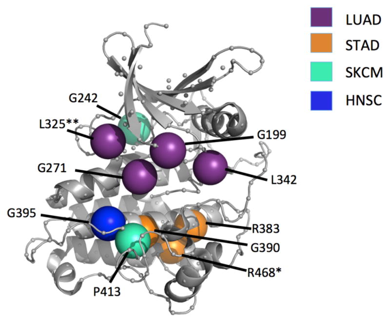 Fig 5