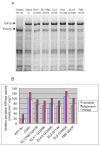 Fig. 10