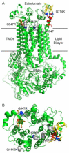 Fig. 9