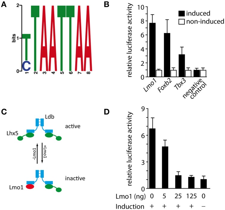 Figure 7