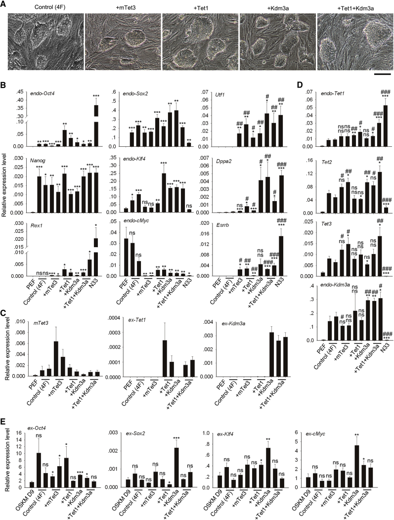 Figure 1